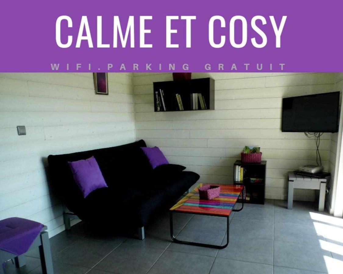 Joli Petit T2 Calme Au Bord De Leau Villa Vieille-Brioude Luaran gambar